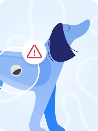 No AirTag for dogs recommended